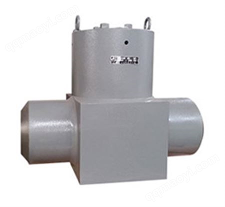 锻钢电站止回阀