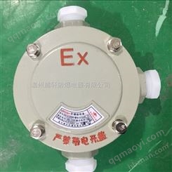 AH-G1DN25B防爆三通接线盒供应