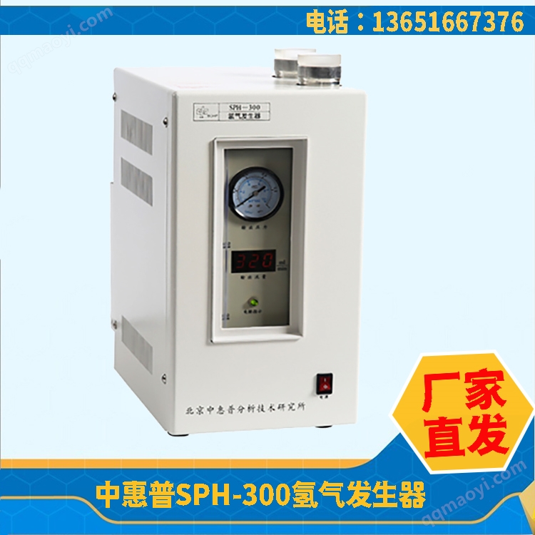 供应SPH-300氢气发生器价格