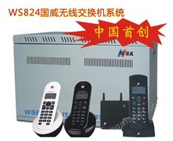 国威2.4G无线交换机系统